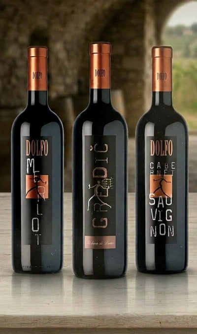 Degustations-Paket "Terroir" - Goriška Brda