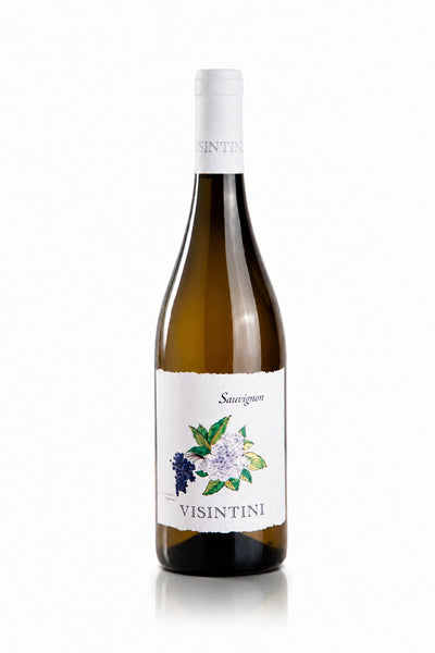 Sauvignon DOP - Friuli Colli Orientali - Bio; Visintini